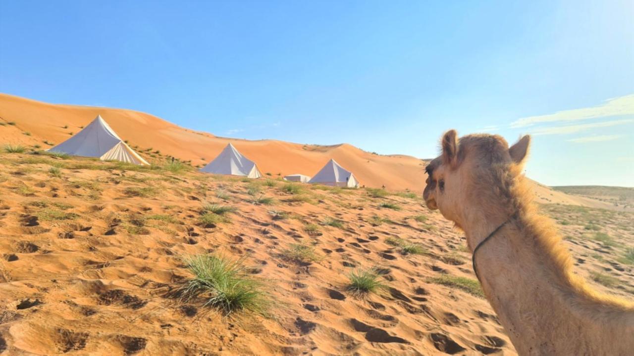 Desert Moments Glamping - Full Privacy Badīyah المظهر الخارجي الصورة